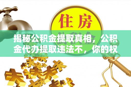 苍溪揭秘公积金提取真相，公积金代办提取违法不，你的权益如何保障？