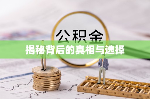 苍溪揭秘背后的真相与选择