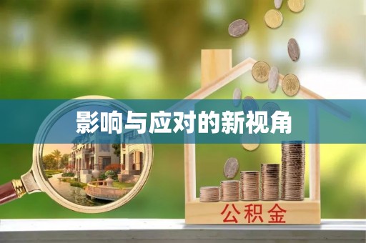 苍溪影响与应对的新视角
